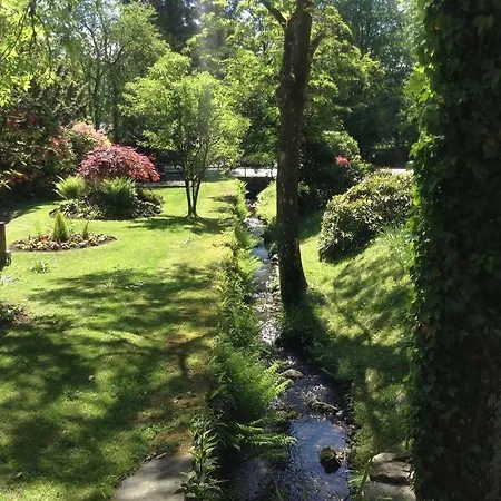 Orman Evi Tiggywinkle Beck Windermere