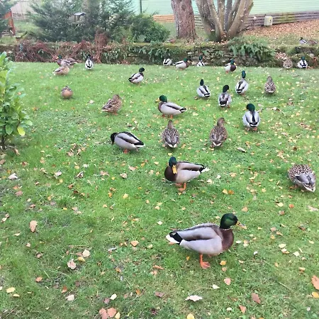 Tiggywinkle Beck Lodge *